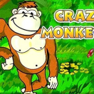 Crazy Monkey